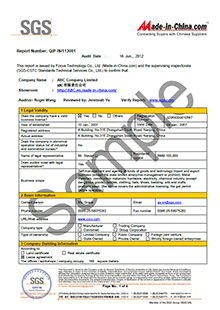 Audit Report
