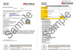 Audit Report
