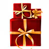 Special Purpose Bags & Cases Special Purpose Bags & Cases