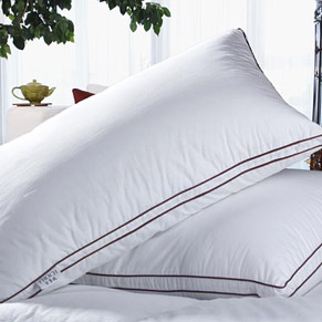 Almohada Antialérgica